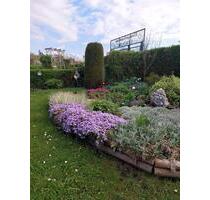 Kleingarten Pachvarten - 9.000,00 EUR Kaltmiete, ca.  0,00 m² in Erfurt (PLZ: 99089) Andreasvorstadt