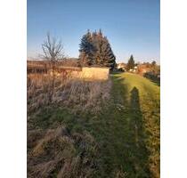 Gartengrundstück mit Finnenhütte und Geräteschuppen - Annaburg