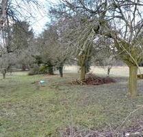Frankfurt-Sossenheim, 1.369 m² Wiesen-Grundstück zu verpachten - Frankfurt am Main
