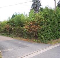 Pacht Garten - 1.500,00 EUR Kaltmiete, ca.  0,00 m² in Hannover (PLZ: 30159)