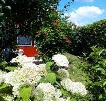 Kleingarten mit Laube strom wasser liegen an - Kamenz