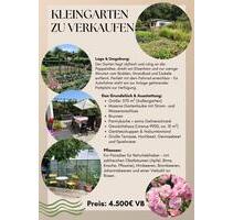 Kleingarten am Elisenhain - mit Laube, Strom, Wasser, Gewächshaus - Greifswald