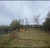 Gartengrundstück 300qm ab 022026 zu verpachten - Waldbrunn (Westerwald)