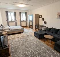 Schöne große Ferienwohnung im Zentrum von Laufen zu vermieten!