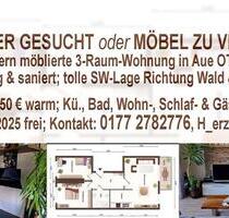 Möblierte Wohnung in sonniger SW-Lage in Aue-Bad Schlema