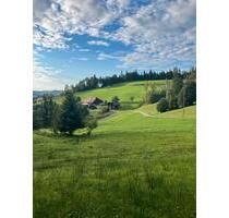 17.08-27.08.2025!! Ferien auf dem historischen Bauernhof!! ❤️ - Ingelheim am Rhein