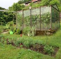 Kleingarten - 750,00 EUR Kaltmiete, ca.  0,00 m² in Schwarzenberg/Erzgebirge (PLZ: 08340)