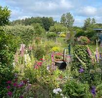 Kleingarten in Lübeck-Siems Schrebergarten