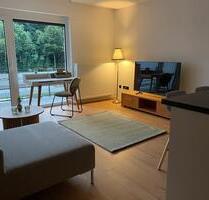 Neuwertige, möblierte Apartmentwohnung am Gräflichen Park - Bad Driburg