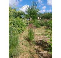 Naturgarten an der Warnow - 4.200,00 EUR Kaltmiete, ca.  0,00 m² in Rostock (PLZ: 18057) Hansaviertel