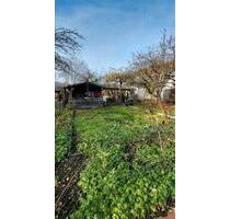 Schrebergarten 200qm, Strom & Wasseranschluss - Coburg