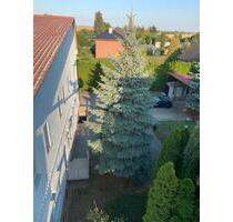 3-Raumwohnung 73qm in Niederndodeleben ab 01.10.25 frei - Magdeburg Brückfeld