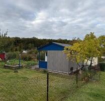 Kleingarten in Carlshöhe - 399,00 EUR Kaltmiete, ca.  0,00 m² in Neubrandenburg (PLZ: 17033)