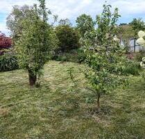 Garten mit Laube - 800,00 EUR Kaltmiete, ca.  0,00 m² in Zerbst (Anhalt) (PLZ: 39264) Leps