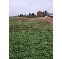 Abstellplatz Lagerplatz - 600,00 EUR Kaltmiete, ca.  0,00 m² in Dannstadt-Schauernheim (PLZ: 67125)