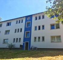 Hübsche 2-Zi.-Whg. mit modernem Tageslichtbad und Balkon, frei ab 01.09. - Mettmann