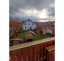 helle geräumige Wohnung Aletshausen