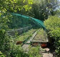 Garten, Gemüse-, Kräutergarten zu verpachten. Gesund & BIO - Wiesbaden Bierstadt