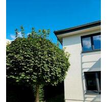 2 ZKB mit Einbauküche 93 m2 - 1.050,00 EUR Kaltmiete, in Osnabrück (PLZ: 49086) Gretesch