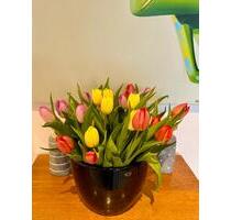 möblierte Wohnung im Stadtzentrum, gern für längere Zeit zu vermieten - Chemnitz