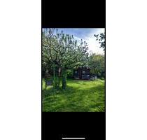 3-Zimmer-Wohnung EG mit großem Garten - Dieburg