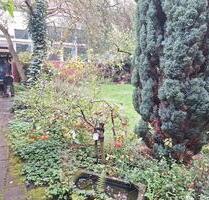 Schönes innerstädtisches EFH mit tollem Garten !! - Dülmen