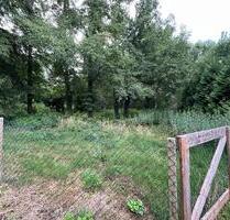 ca. 3000m2 Grundstück z.B. für Pferde PachtenMieten - Wendeburg