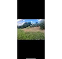 Gartenfläche am Waldrand - 150,00 EUR Kaltmiete, ca.  0,00 m² in Aschaffenburg (PLZ: 63743) Gailbach