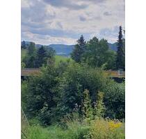 Rarität: Baugrundstück in idyllischer Lage in Albstadt-Pfeffingen