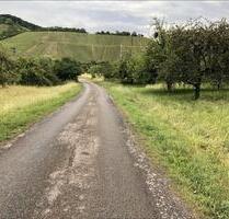 Wiese, Garten, Grundstück, Streuobstwiese, Einmalige Chance - Korb