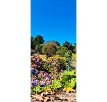 Haus freistehend Nordküste Bretagne 5 min vom Meer entfernt - Bonn Bad Godesberg