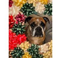 WG Zimmer ab 01.02.2026 frei - 650,00&nbsp;EUR Kaltmiete, ca.&nbsp; 15,00&nbsp;m&sup2; in Hamburg (PLZ: 22087) Hohenfelde