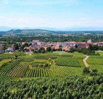 Dort leben, wo andere Urlaub machen - Endingen am Kaiserstuhl