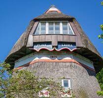 Ferienhaus Mühle Insel Fehmarn Ostsee mieten
