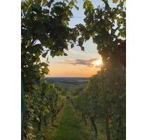 Gemütliche Hütte im Weinberg in Hörstein (MietePacht) - Alzenau