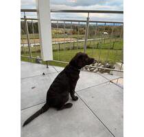 140 qm Ferienwohnung Hund willk. gratis KönigsCard - Wessobrunn