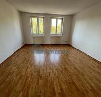 ***Preissenkung**Zwei- Zimmer- Wohnung, zentral gelegen, wurde frisch renoviert - Schwerin