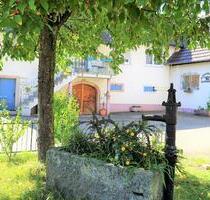 Ferienhaus Ferienwohnung Lahr Schwarzwald Region Europapark - Lahr (Schwarzwald)