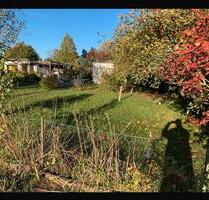 GartenkolonieGartenparzelle - 650,00 EUR Kaltmiete, ca.  0,00 m² in Springe (PLZ: 31832)