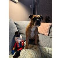 WG Zimmer ab 01.02.2026 frei - 650,00&nbsp;EUR Kaltmiete, ca.&nbsp; 12,00&nbsp;m&sup2; in Hamburg (PLZ: 22087) Hohenfelde