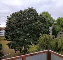 Erstbezug nach Sanierung, 3 Zimmer Wohnung in List - Hannover Vahrenwald-List