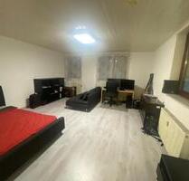 Vermiete 1-Zimmerwohnung in Endersbach - Weinstadt