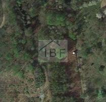 Zentral gelegenes Waldgrundstück - Siegen Eiserfeld