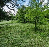 Gartengrundstück Freizeitgrundstück in Bruchsal