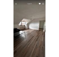 • 1-ZKD- Wohnung in Schwetzingen - Mannheim Rheinau