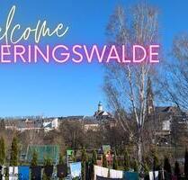 ++ wunderschöne 2-Raum Wohnung mit Tageslichtbad - für alle, die es etwas ruhiger mögen ++ - Geringswalde