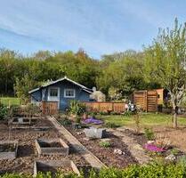 Garten Schutower Moorwiesen - 2.099,00 EUR Kaltmiete, ca.  0,00 m² in Lambrechtshagen (PLZ: 18069)