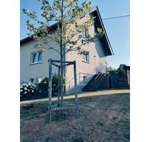 Einfamilienhaus freistehend Hirstein - Namborn