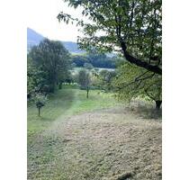 Erster Monat kostenlos! Streuobstwiese Freizeitgrundstück nahe Stuttgart zu verpachten 50 € - Weilheim an der Teck