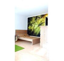 Möbliertes 1-Zimmer-Appartement, ca. 30qm, Nähe IN-Hauptbahnhof - Ingolstadt